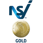 logo-nsi-gold